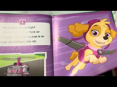PAW Patrol Tools for Every Job Read Aloud