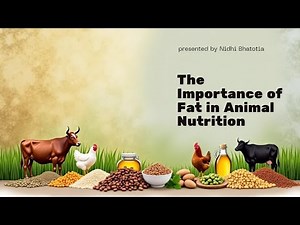 What are Fats? | Types, Sources, and Functions of Fats Explained for Students
