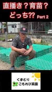 [Fall/Winter Vegetables] Direct Sowing or Seedlings? Which one?? #FarmingLife #HomeGardening #Mod...