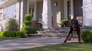 Dead spots got you down? Get Norton Coreᵀᴹ - a high-performance router that helps protect your network in a fast, secure WiFi. | Norton