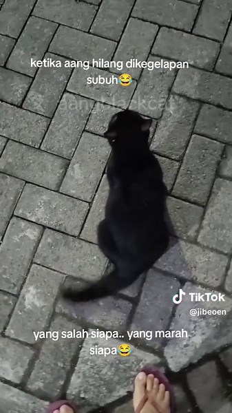 aangblackcat (@jibeoen)’s video of aang