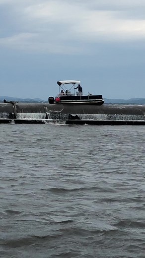 Throwback to this summer. #for #foryou #fyp #foryoupage #foryourpage #viral #viralvideo #viraltiktok #fypシ #lake #boat #boating #boatinglife #boatlife #boatsgonewild #lakelife #river #fail #fishing #fishinglife #help #safety