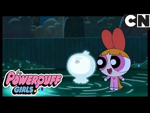 Powerpuff Girls | Blossom's Cute Little Alien | Cartoon Network