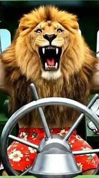 Mother Cat Grooms Her Kittens at the Farm and Cares for Her Kittens – Heartwarming Family Moments Th