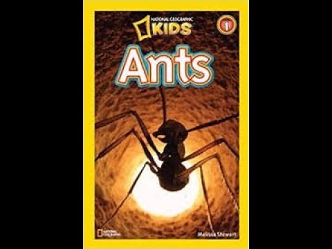 Ants by Melissa Stewart