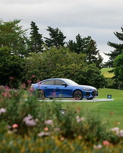 14K views · 460 reactions | BMW Golfsport on Reels | Facebook