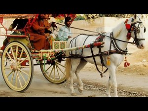 How to Build a Wooden Rocking Horse Toy | Easy DIY Step-by-Step Tutorial for Beginners
