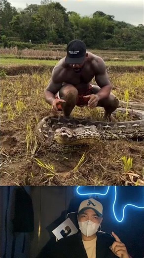 THIS PERSON'S THING TO CATCH A PYTHON IN THE RICE FIELDS MAKES THEIR HAIR STAND UP 😱