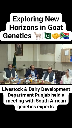 3.8K views · 24 reactions | Exploring New Horizons in Goat Genetics...