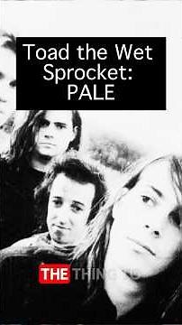Toad the Wet Sprocket's PALE and the 90s music industry