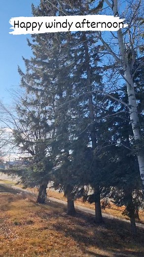 Another lazy Sunday afternoon❤️❤️ #windyday #alberta #followerseveryone | Kaye Guzman
