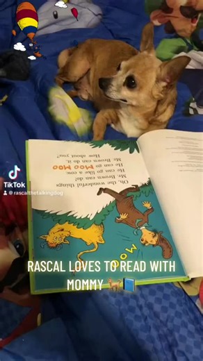 Reading Mr. Brown Can Moo with Rascal the Dog