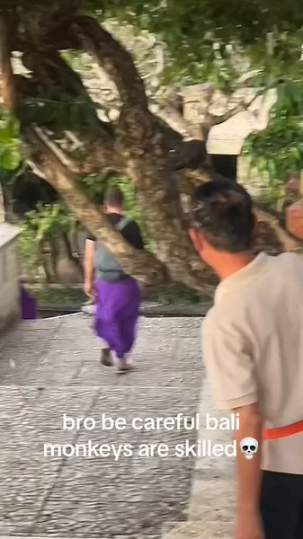 Unforgettable Bali Monkey Encounter at Uluwatu Temple