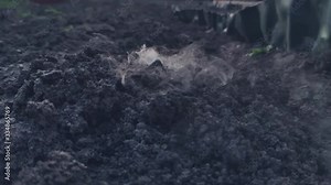 Explosion on the surface of the earth from an explosive device, hit by a shell or ammunition, the texture of smoke and flying soil from the shock wave in slow motion, the soil during combat