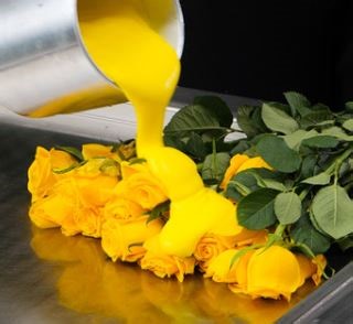 How to make ice cream out of a real rose! | 5-Minute Crafts GIRLY