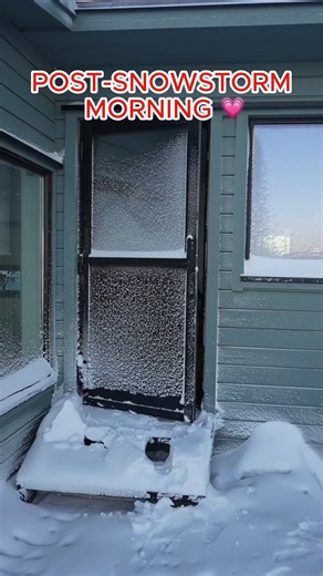 Post-snowstorm magic in Svalbard ❄️✨ #svalbard #cabinlife #northpole #northpole #coldweather #reels | Cecilia Blomdahl