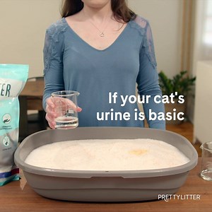 This revolutionary litter keeps track of you cat's health by changing colors. | PrettyLitter