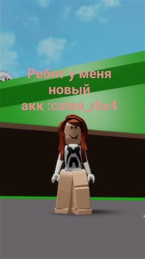 catea_rbx4