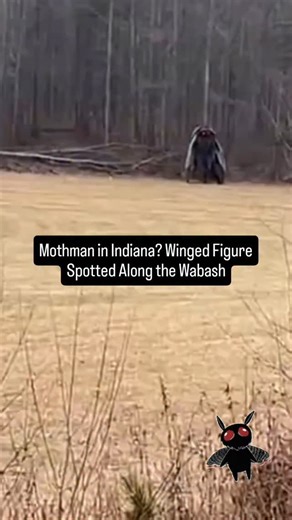 Squatch Watch (Michael Alonso) on Instagram: "Reports are circulating of a towering, winged figure seen stalking the foggy banks and back roads of Indiana late at night described as humanoid, dark as shadow, with massive wings and piercing red eyes. The sighting instantly revived the legend of the Mothman, a cryptid made famous by encounters in Point Pleasant, West Virginia during the 1960s, where witnesses claimed it appeared before tragic events. According to folklore, Mothman stands over seve