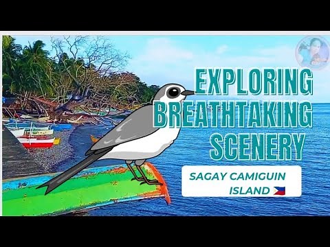 Lakbay sa Kalikasan: Paglalakad sa Isang Magandang Lugar Ng Sagay Camiguin Island 🇵🇭