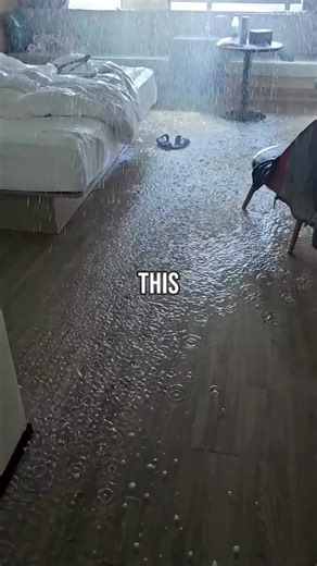 quickcodingtuts (@quickcodingtuts)’s videos with original sound - quickcodingtuts