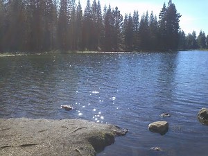 Basic Surat Shabda Meditation - Michael Turner - 2014-08-13