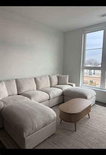 Couch Unboxing: Wayfair Cloud Couch Experience