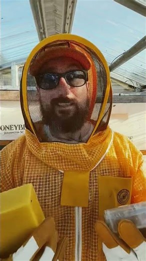 Honey bee Challenge 🐝 #shortsfeed #youtubeshorts