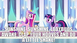 Sunshine, sunshine, ladybugs awake, clap your hooves and do a little shake!