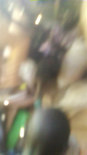 Willy pozze on TikTok