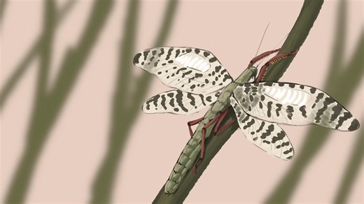 Why researchers debate how large prehistoric bugs really were