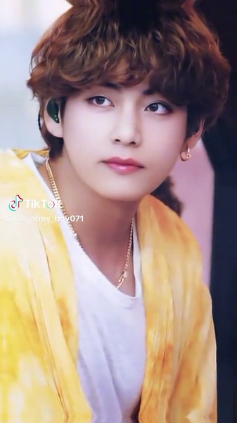 BTS Army Boy on TikTok