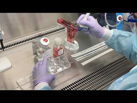 How to culture pluripotent stem cells in suspension: Initiation of PSC cultures in suspension