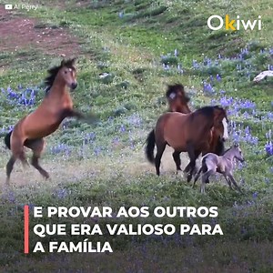 2.1M views · 10K reactions | Eles queriam "eliminá-lo". Mesmo sendo...