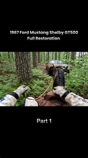 1967 Ford Mustang Shelby GT500 Complete Restoration