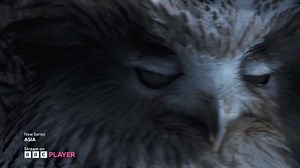 If you think you have seen the best the natural world has to offer, think again! Join Sir David Attenborough as he takes you across our planet’s largest continent, Asia. Stream now on BBC Player 🌏 | BBC Player