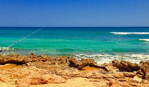 Scientists discover 'longest living' creature off Australian coast