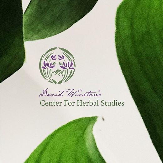 Herbalist Training «  David Winston's Center for Herbal Studies
