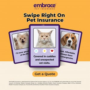 Looking for the perfect match? Meet a plan that covers accidents, illnesses, and more. Your pet deserves a lifelong partner in health. | Embrace Pet Insurance | Facebook