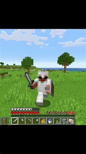 Minecraft Noob vs Pro vs Hacker in taming dog... #shorts #minecraftnoobprohacker #minecraft