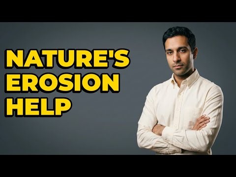 How Do Natural Processes Support Soft Erosion Control?