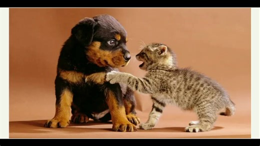 Agentic Debugging Using Time Travel - Greg Law - ACCU York