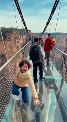 Glass Bridge “CRACKS”! Tourists Scream in Terror 😱💥 #HeartStopper #GlassBridge