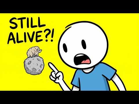 There Are Animals on the Moon Right Now