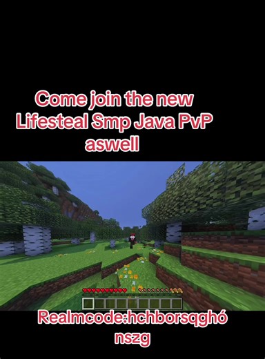 Join Lifesteal SMP: The Ultimate Java PvP Realm Experience