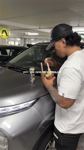 Exploring Fatness: Pets and Human Perspectives