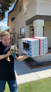 823K views · 43K reactions | She got a Puppy surprise from these nice...