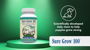 PetAg Sure Grow 100 - Puppy Vitamins - Calcium & Phosphorus Supplement for Dogs and Cats - 100 Tablets - Walmart.com