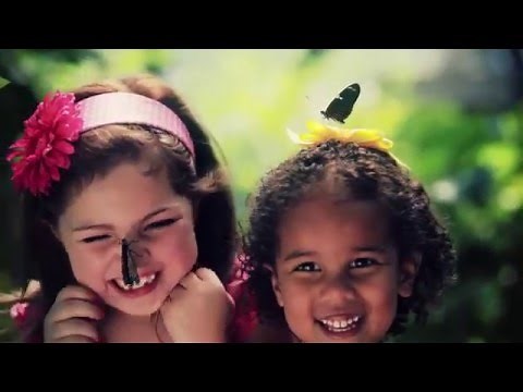 Saint Louis Zoo "Animals Always" TV commercial