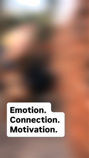 NHU Ecology and Detection Dogs on Instagram: "Emotion. Connection. Motivation. We train detection dogs through a holistic approach that honors both performance and wellbeing. Our commitment to excellence and precision is matched by our dedication to each dog’s emotional health and authentic connection with their handler producing highly motivated balanced detection dogs. #nhuecologyanddetectiondogs #detectiondog #workingcockerspanielsofinstagram #ecologydogs #bedbugdetection"